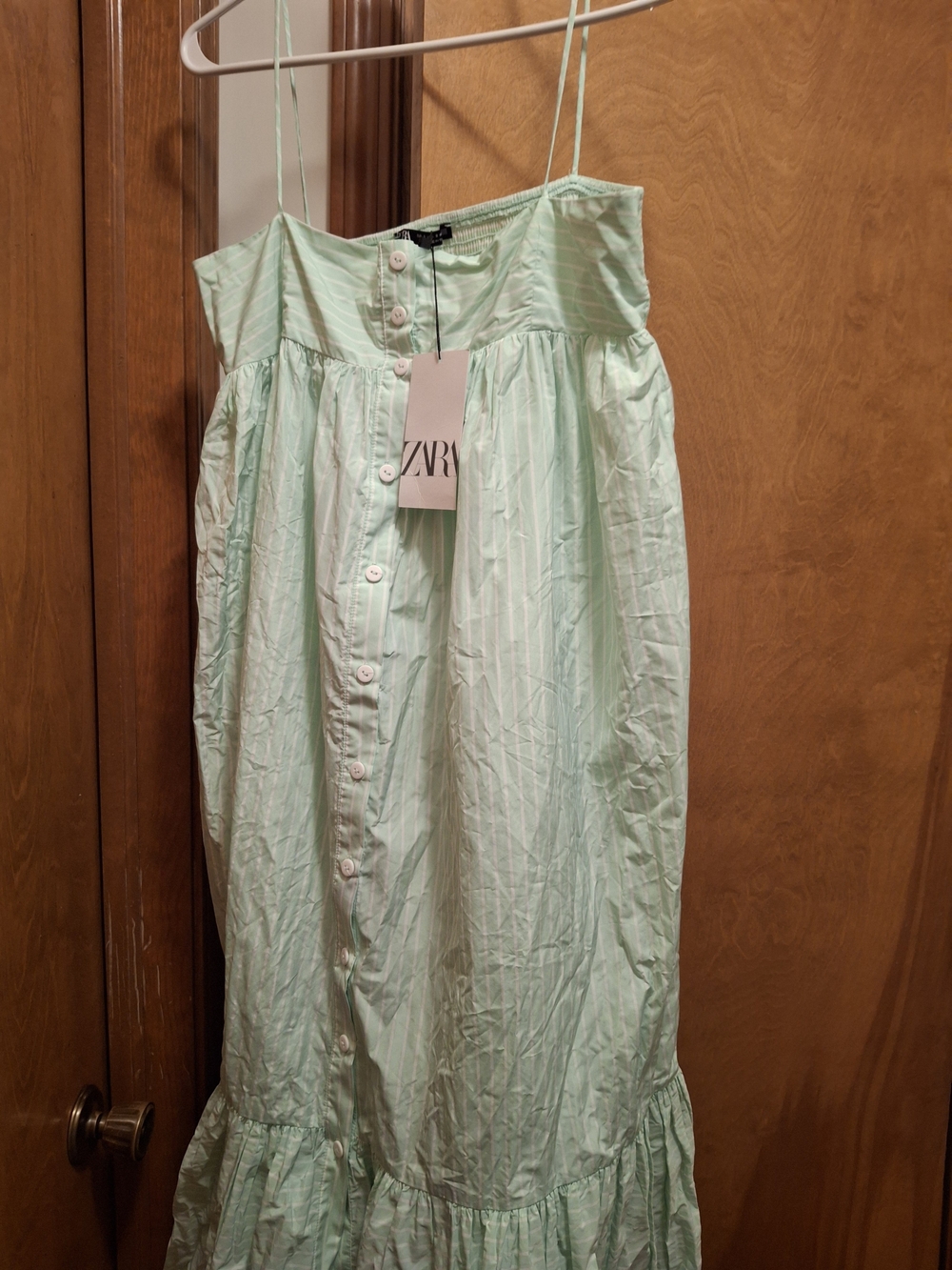 Zara Pale Mint Green Maxi Skirt with Front Buttons